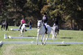 Kay Brady on Destiny's Mystique, Beginner Novice Horse Trials Senior C