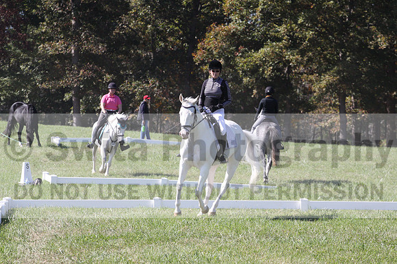 Kay Brady on Destiny's Mystique, Beginner Novice Horse Trials Senior C