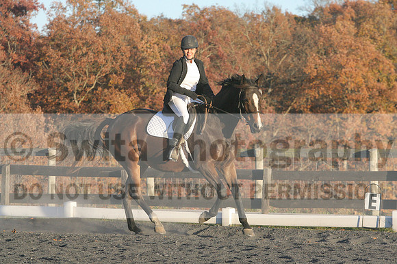 Thea Miller on Something Glamorous, Dressage Only: Training Level, Test 3