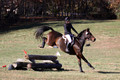 CJ Weldon on Talleyrand, Novice Horse Trials Senior