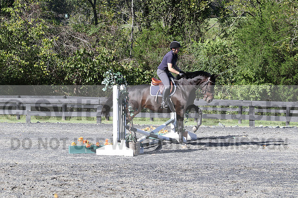 Lauren Seitz on Lyra, Green Combined Test