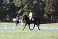 Emily Digney on American Airman, Beginner Novice Horse Trials Senior B