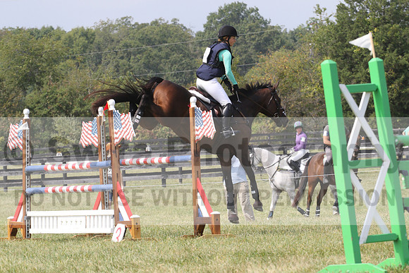 Nita Sanfillippo on Alarmabull, OI