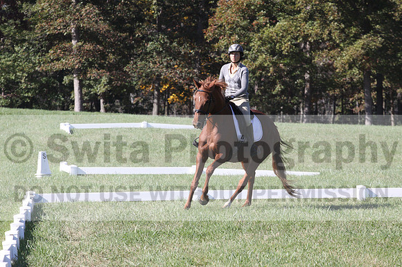 Jenny Rosner on Curious, Beginner Novice Horse Trials Senior A