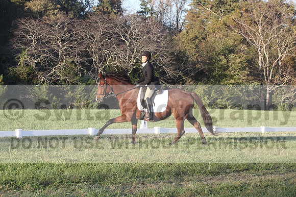 Paula McConnell on Summers Lilac, Dressage Only: Beginner Novice A