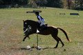Ingrid Dunn on Ruby Redbird, Beginner Novice Horse Trials Senior C