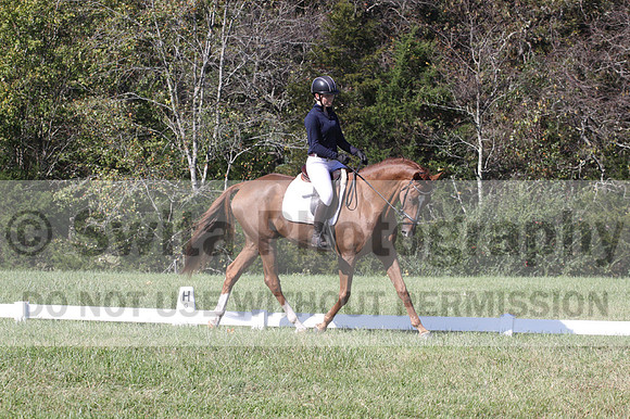 Charlotte Stillfried on Killian, Beginner Novice Horse Trials Junior B