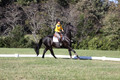 Madlen Lesesne on SBF Figaro, Advanced Green Horse Trials B