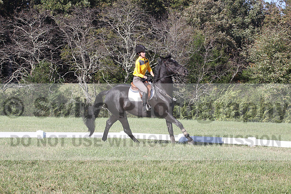 Madlen Lesesne on SBF Figaro, Advanced Green Horse Trials B