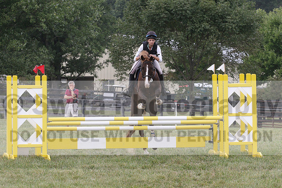 Samantha Eley on Swan's Buttercup