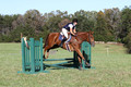 Alexandria Morocom on Da Lime and Da Coconut, Advanced Green Horse Trials B