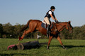 Alexandria Morocom on Da Lime and Da Coconut, Advanced Green Horse Trials B