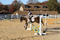 Reagan Roy on Paint By Numbers, Green Horse Trials Junior