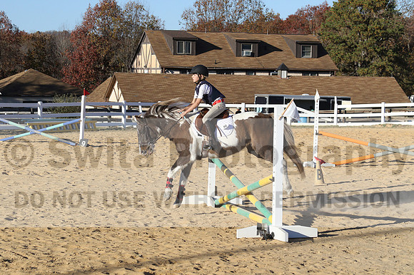 Reagan Roy on Paint By Numbers, Green Horse Trials Junior