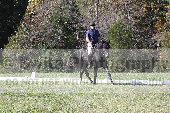 Paul Pinner on MLC Irish Rapture, Advanced Green Horse Trials A