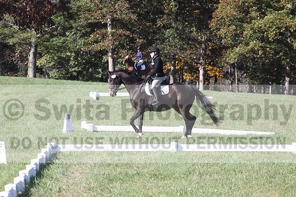 Mimi Combs on Aristocrat, Beginner Novice Horse Trials Senior A
