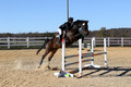 CJ Weldon on Talleyrand, Novice Horse Trials Senior