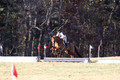 Elizabeth Brown on Adagio, Advanced Green Horse Trials Senior A