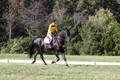 Madlen Lesesne on SBF Figaro, Advanced Green Horse Trials B