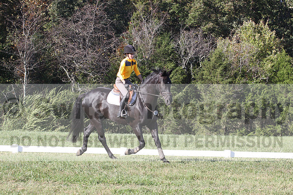 Madlen Lesesne on SBF Figaro, Advanced Green Horse Trials B