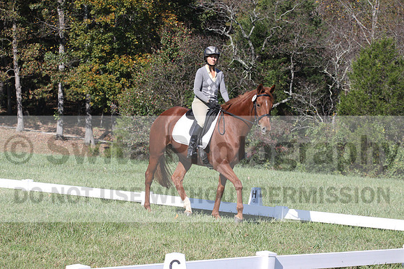 Jenny Rosner on Curious, Beginner Novice Horse Trials Senior A