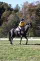 Madlen Lesesne on SBF Figaro, Advanced Green Horse Trials B