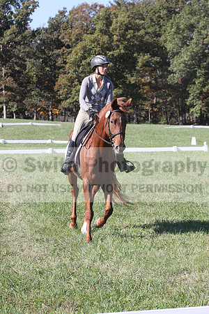 Jenny Rosner on Curious, Beginner Novice Horse Trials Senior A