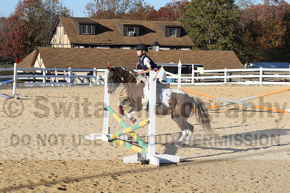 Reagan Roy on Paint By Numbers, Green Horse Trials Junior