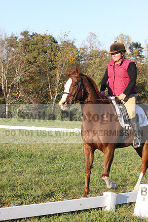 Katherine Palmer on Rio Time Roamer, Dressage Only: Intro A