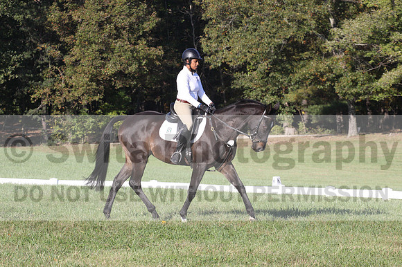 Anna White on Rocking The Ark, Novice Horse Trials Senior A
