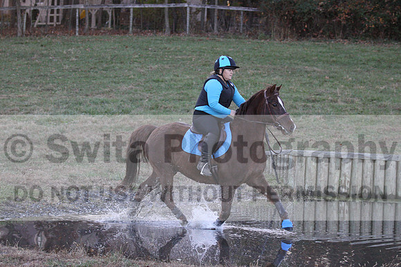 Alison O'Connor on Harwich Maximus, Green Horse Trials Senior
