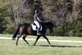 Lauren Seitz on Lyra Belacqua WRF, Advanced Green Combined Test