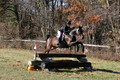 CJ Weldon on Talleyrand, Novice Horse Trials Senior