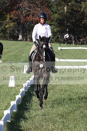 Anna White on Rocking The Ark, Novice Horse Trials Senior A