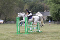 Abigail Winfree on Armani IV, JOT