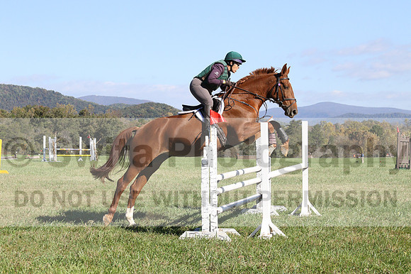 Terry Adcock on Irish Belle, Novice Horse Trials Senior B, Dressage Only: First Level, Test 2