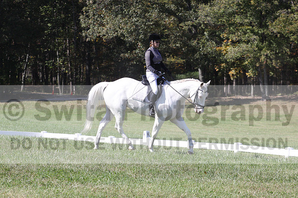 Kay Brady on Destiny's Mystique, Beginner Novice Horse Trials Senior C