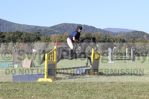 Paul Pinner on MLC Irish Rapture, Advanced Green Horse Trials A