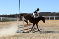 Ingrid Dunn on Ruby Redbird, Beginner Novice Horse Trials Senior C