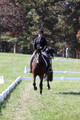 Elaine Groves on Luidonna, Beginner Novice Horse Trials Senior B