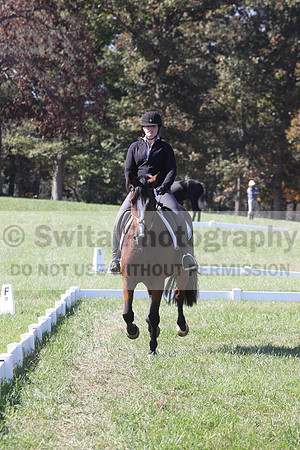 Elaine Groves on Luidonna, Beginner Novice Horse Trials Senior B