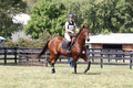 Jennifer Treacy on Happy Harry, BNR