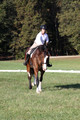 Allie Farley on Fiona, Novice Horse Trials Senior A
