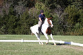 Elizabeth Schooley on Pearl, Advanced Green Horse Trials A