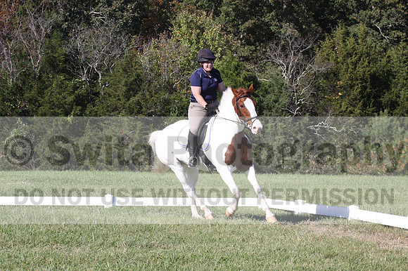 Elizabeth Schooley on Pearl, Advanced Green Horse Trials A