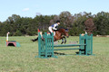 Elizabeth Davis on Freedom's Stormy Night, Beginner Novice Horse Trials Junior B