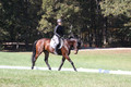 Brooke Bayley on Unbroken, Beginner Novice Horse Trials Senior A