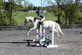 Elizabeth Larson, Defies Gravity