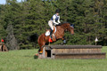 Elizabeth Davis on Freedom's Stormy Night, Beginner Novice Horse Trials Junior B