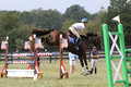 Sara Lieser on Osh Kosh, OI